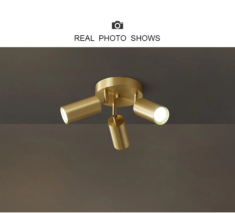 FlexiLight GU10 LED Ceiling Fixture