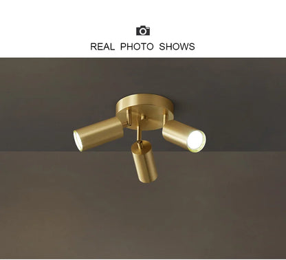 FlexiLight GU10 LED Ceiling Fixture