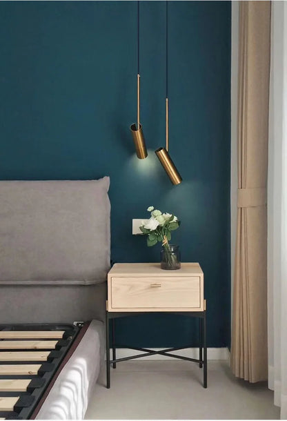 Adjustable Bedside Spot Pendant