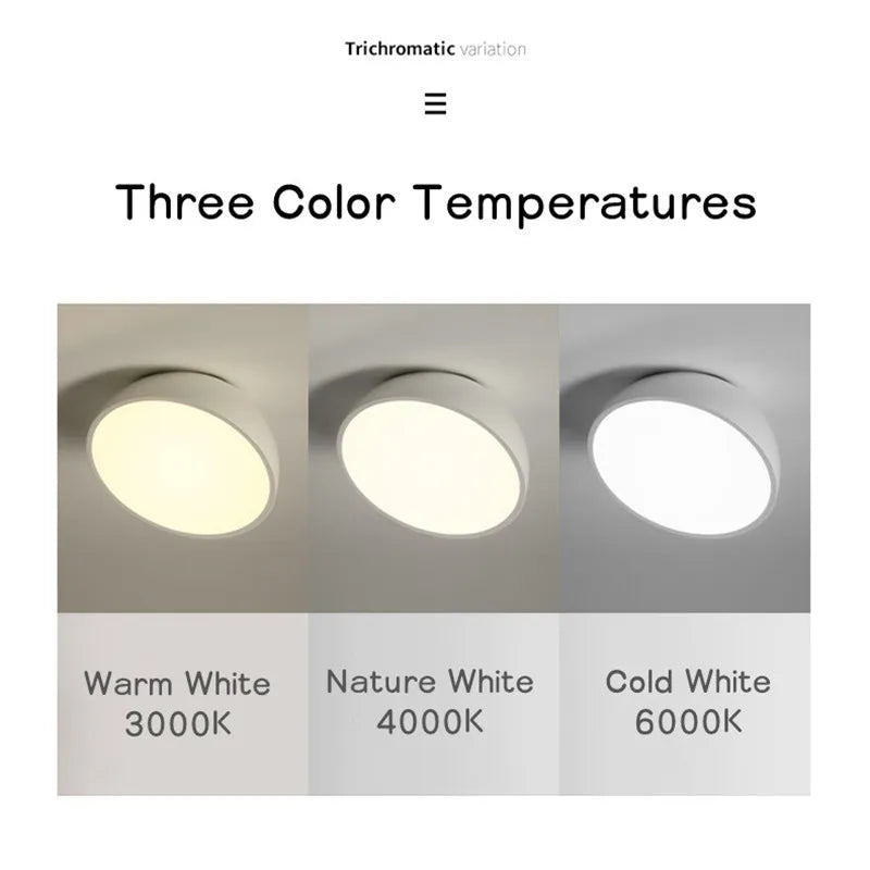 SlopeBright LED Ceiling Light