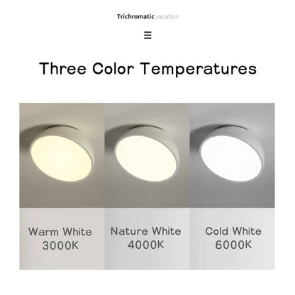 SlopeBright LED Ceiling Light