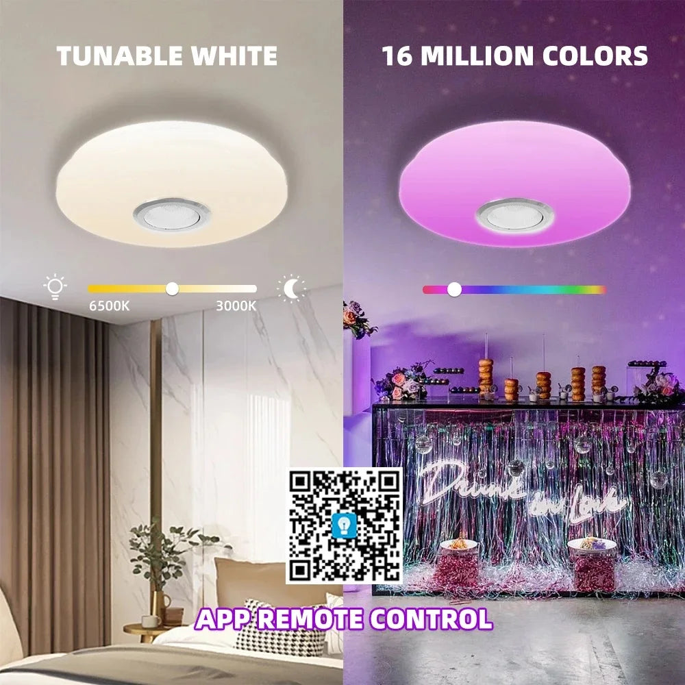 Smart Dimmable LED Round Ceiling Light Fixture