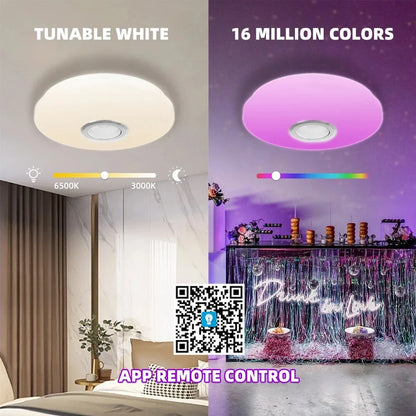 Smart Dimmable LED Round Ceiling Light Fixture