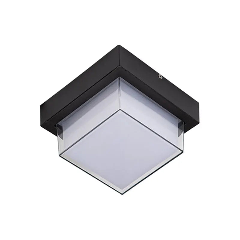 HydroLite Outdoor Ceiling Light