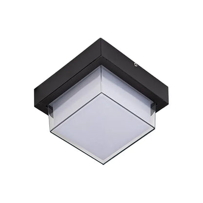 HydroLite Outdoor Ceiling Light