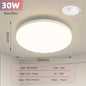 LED Ceiling Lamp 220V Ultra Thin Ceiling Lighting Fixture