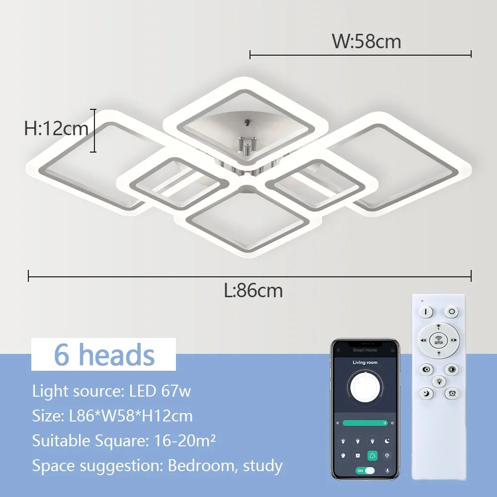 Multi-Head LED Ceiling Light