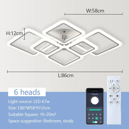 Multi-Head LED Ceiling Light