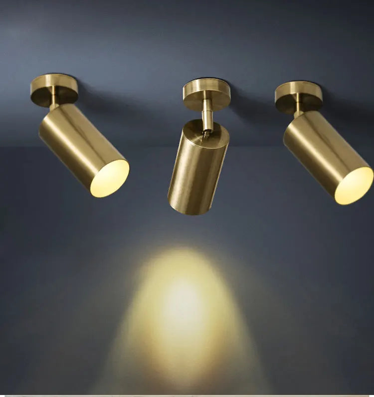 Xtreme Spotlights - LED Ceiling Light