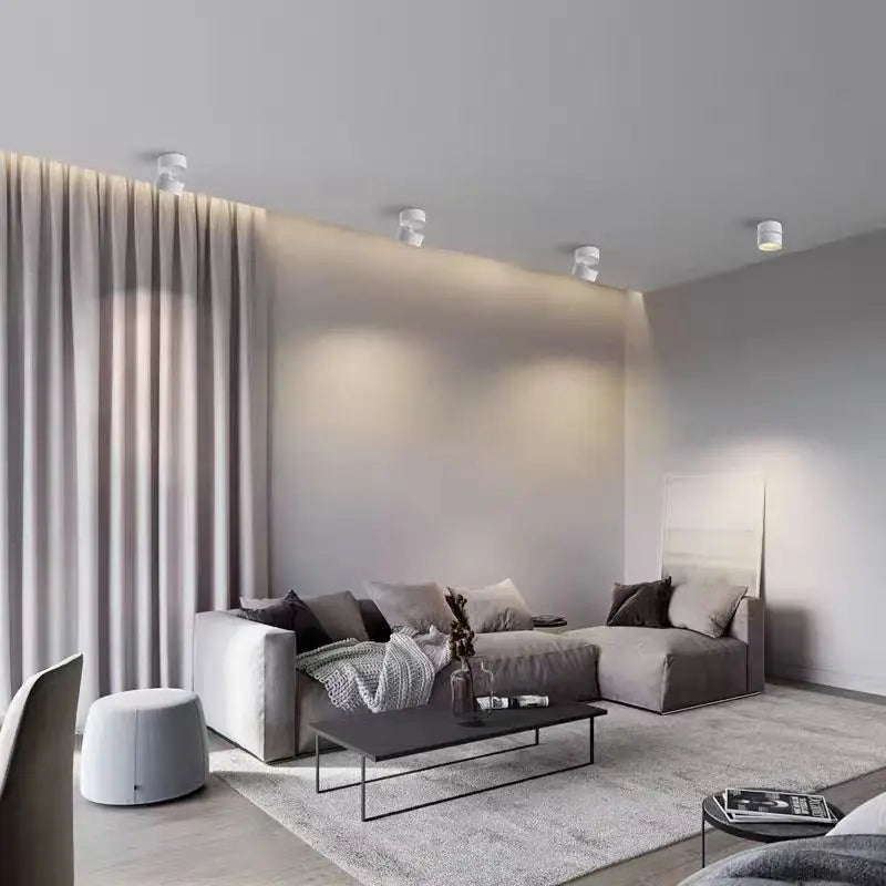 Rotatable Slim Surface Downlight