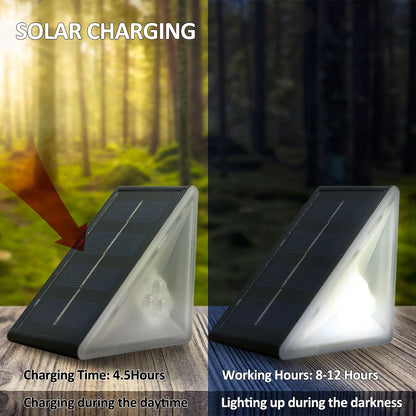 SolarGlow Step Lights: Warm White & RGB Waterproof