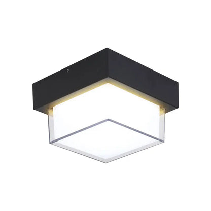 HydroLite Outdoor Ceiling Light