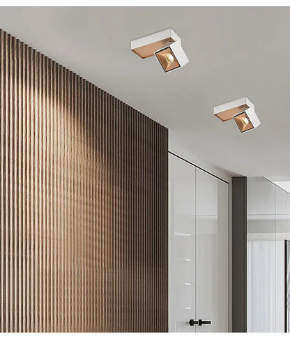 Dimmable 360° COB LED Downlight Spotlights