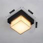 HydroLite Outdoor Ceiling Light