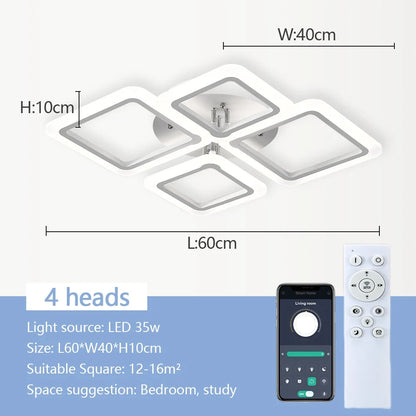 Multi-Head LED Ceiling Light