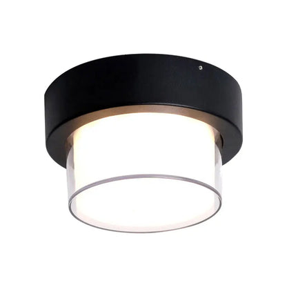 HydroLite Outdoor Ceiling Light