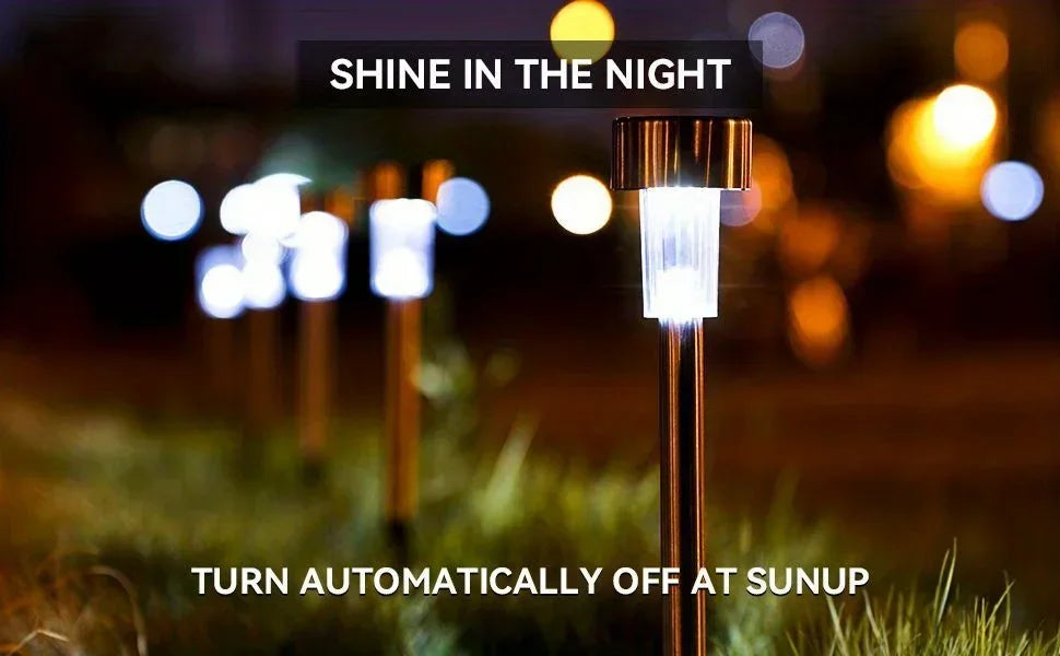 Sunlit Pathway Lights