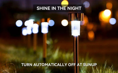 Sunlit Pathway Lights
