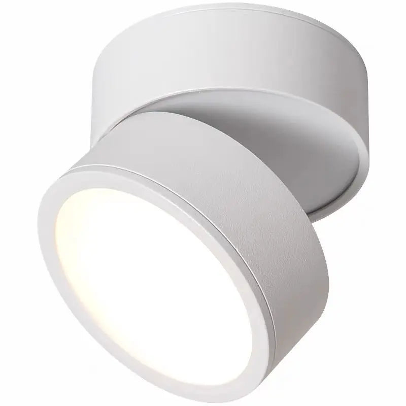 Rotatable Slim Surface Downlight
