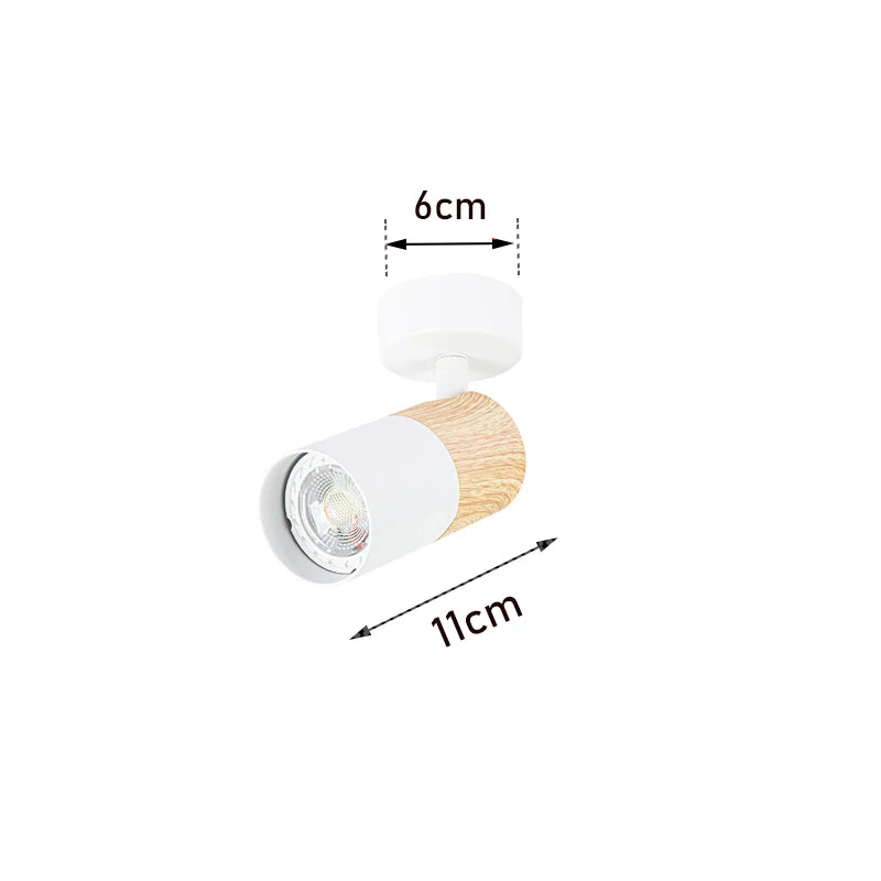 FlexTrack Spotlight System