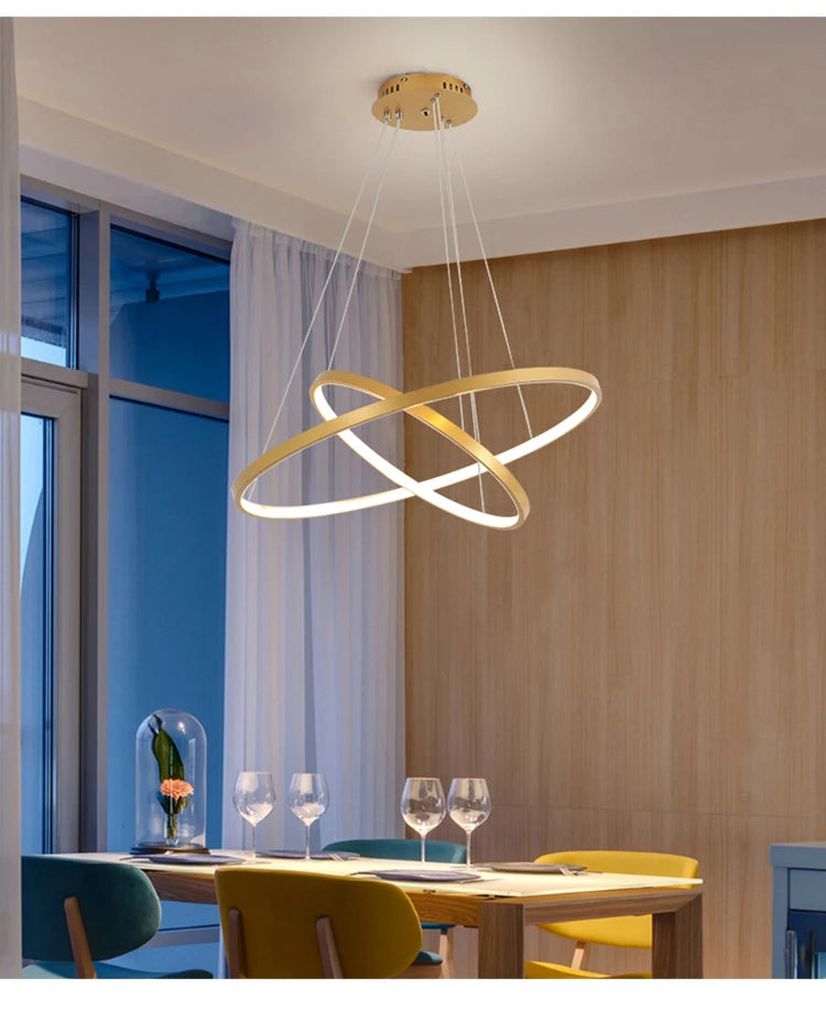 Iron Ring Ceiling Chandelier
