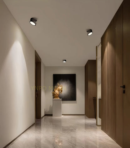 Rotatable Slim Surface Downlight
