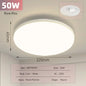 LED Ceiling Lamp 220V Ultra Thin Ceiling Lighting Fixture