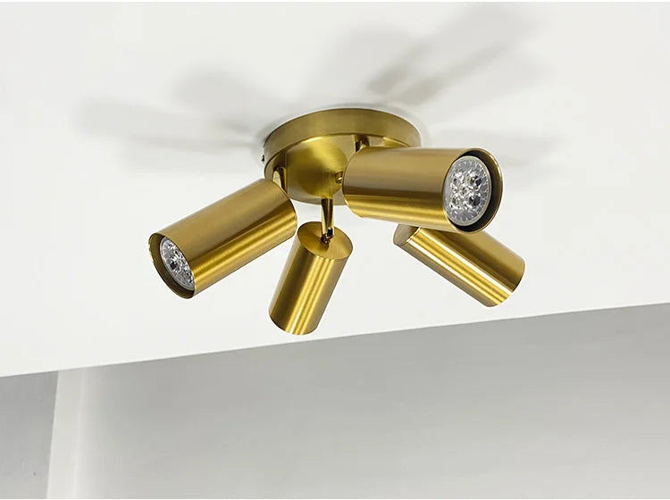 FlexiLight GU10 LED Ceiling Fixture