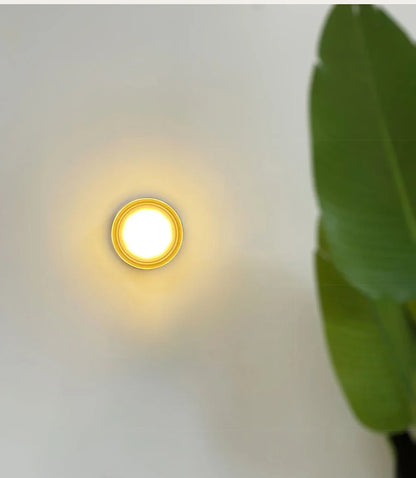 Jelly Acrylic Wall Sconce