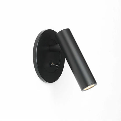 Swivel Sconce Lights