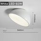 SlopeBright LED Ceiling Light