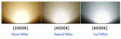 GlowStep 3W LED Waterproof Wall Lamps