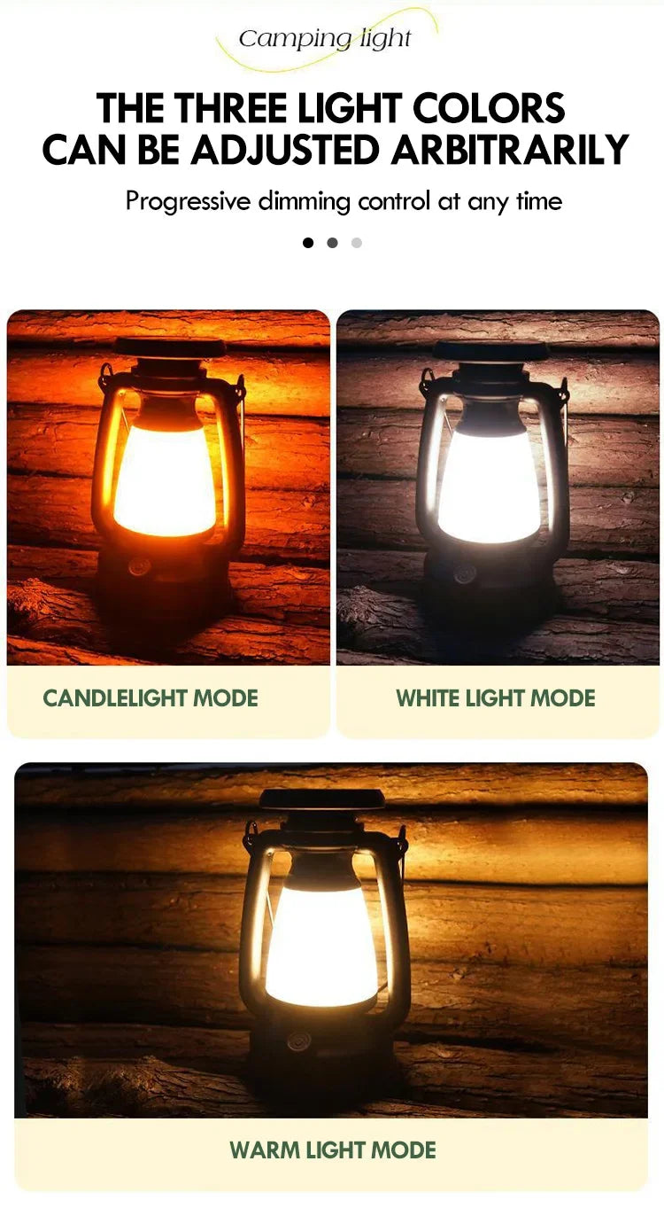 Equestrian Glow: Retro Horse LED Lamp