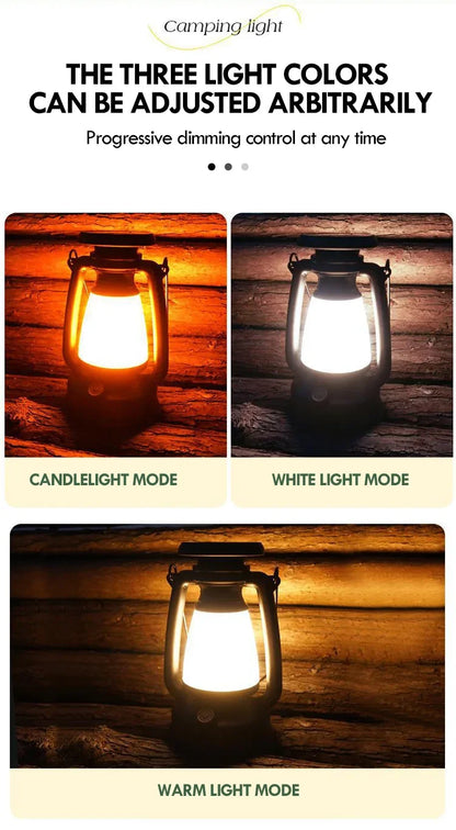 Equestrian Glow: Retro Horse LED Lamp
