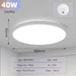 LED Ceiling Lamp 220V Ultra Thin Ceiling Lighting Fixture