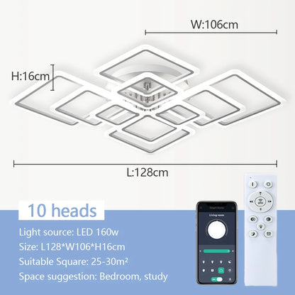 Multi-Head LED Ceiling Light