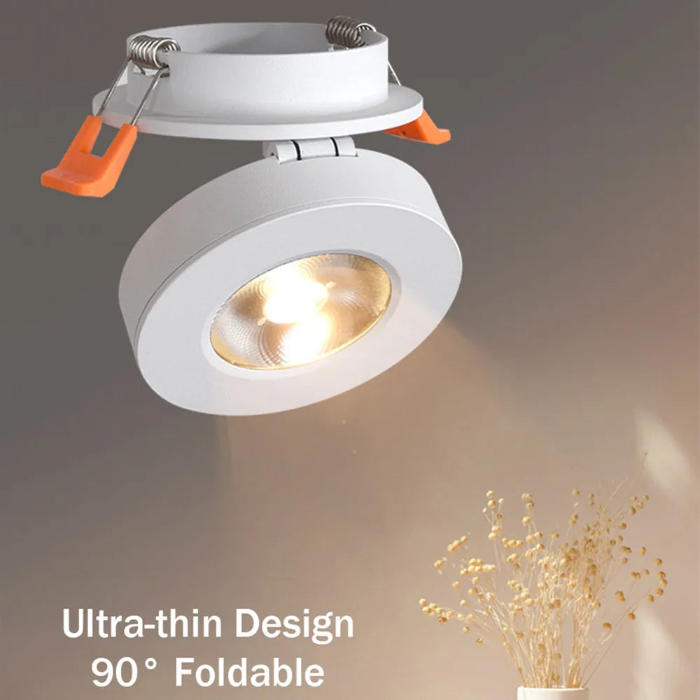 Downlight Spot Lamp