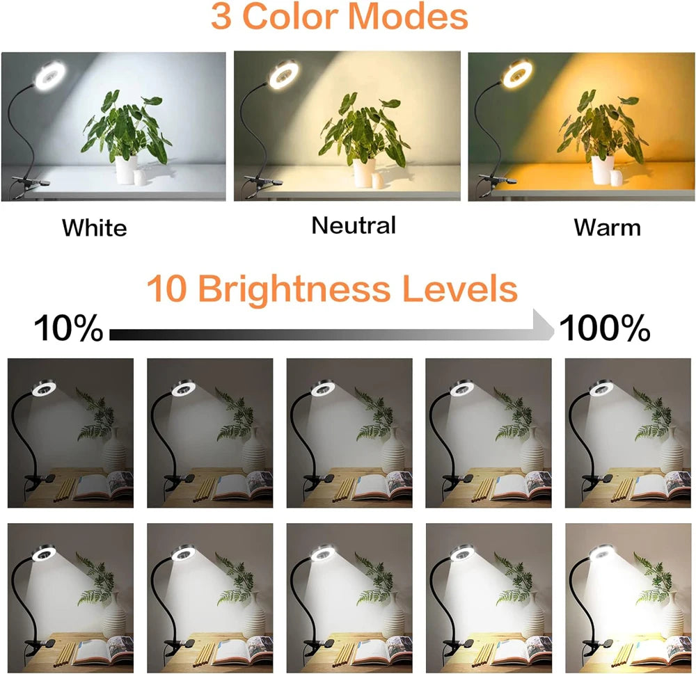 FlexiGlow 360° LED Clip-On Desk Lamp