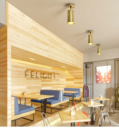 Xtreme Spotlights - LED Ceiling Light