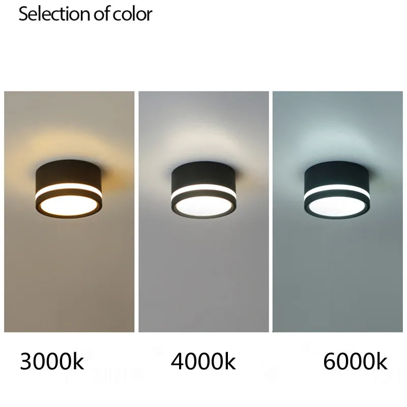 RoundSpot LED Downlight