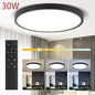 LED Ceiling Lamp 220V Ultra Thin Ceiling Lighting Fixture